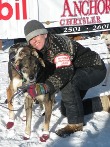 Bid on your chance to be an Iditarod Handler for Dew Claw