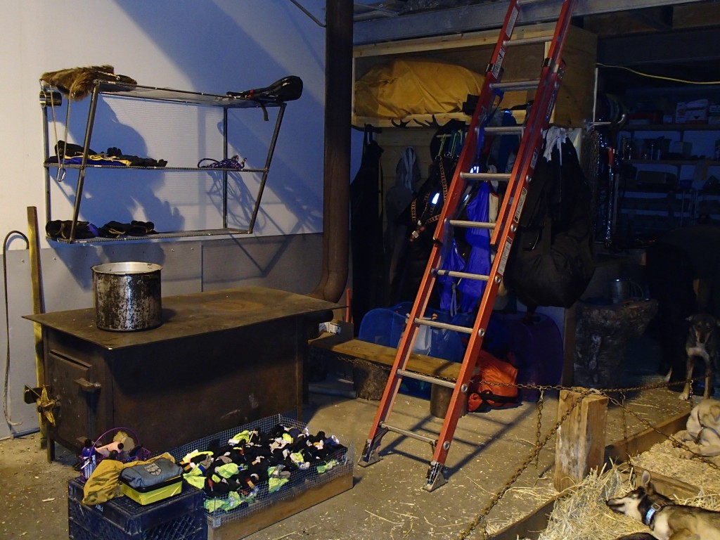 Dog coats hang by ushers coats and booties dry in raised wire rack. 