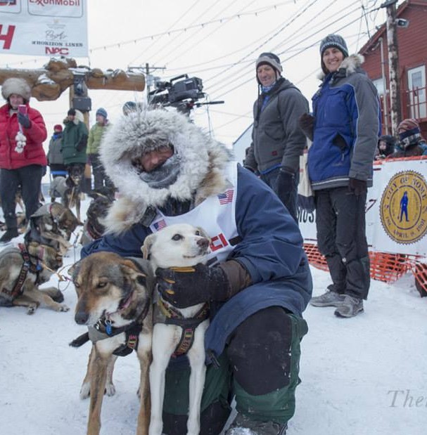 Dan with his leaders BedBug & Orchid under the burled arch in Nome, Iditarod 2014.