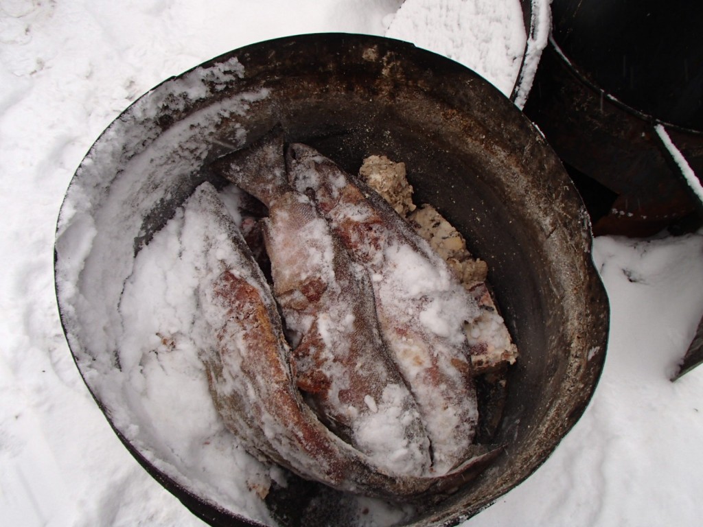 The start of dog fish stew.