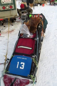 Organized race sled. Photo - TC Wait