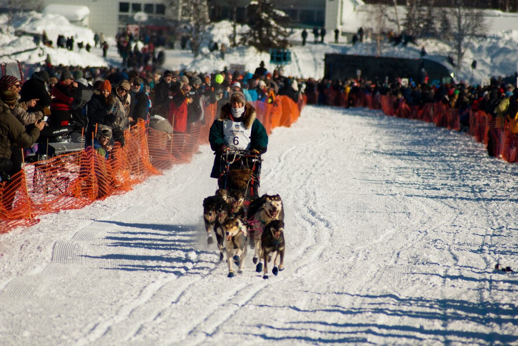 Crows line the Iditarod trail for miles and miles.