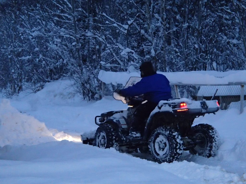 Victoria got in on the fun, and was plowing with the quad all morning.