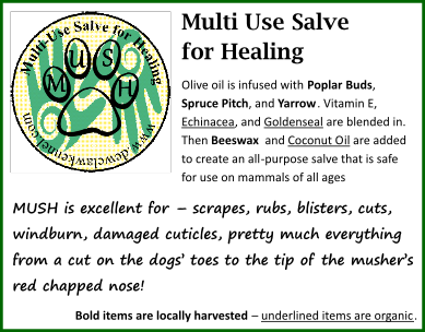 MUSH Multi-Use Salve for Healing