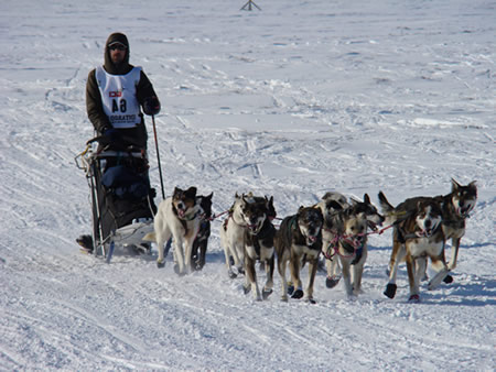 Dan on Iditarod