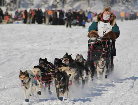 Jodi on Iditarod