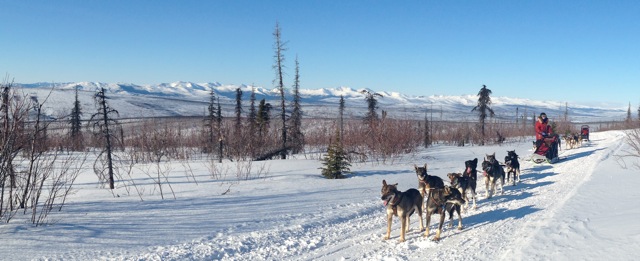 Running with the Dew Claw Dogs