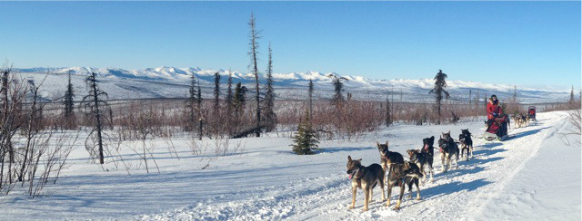 Running with the Dew Claw Dogs