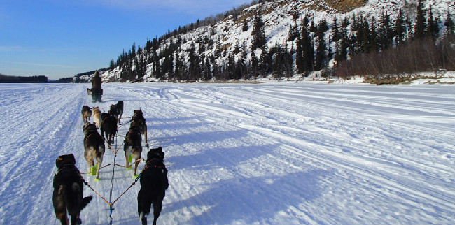 Running the Tanana River to Nenana